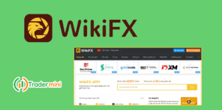 đánh giá wikifx có uy tín và đáng tin cậy không